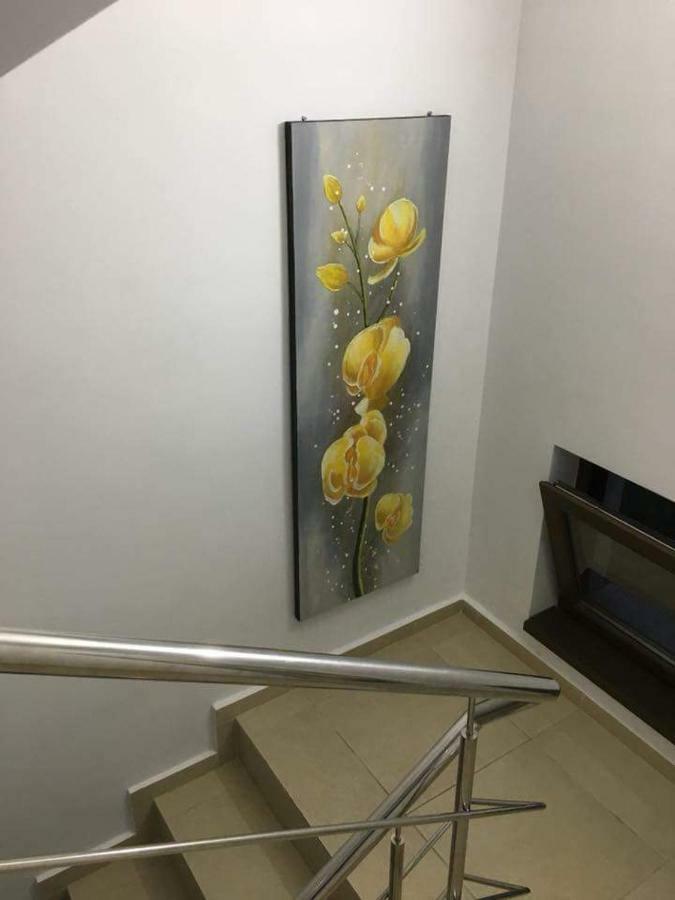 科斯蒂内什蒂 Elegance酒店 外观 照片